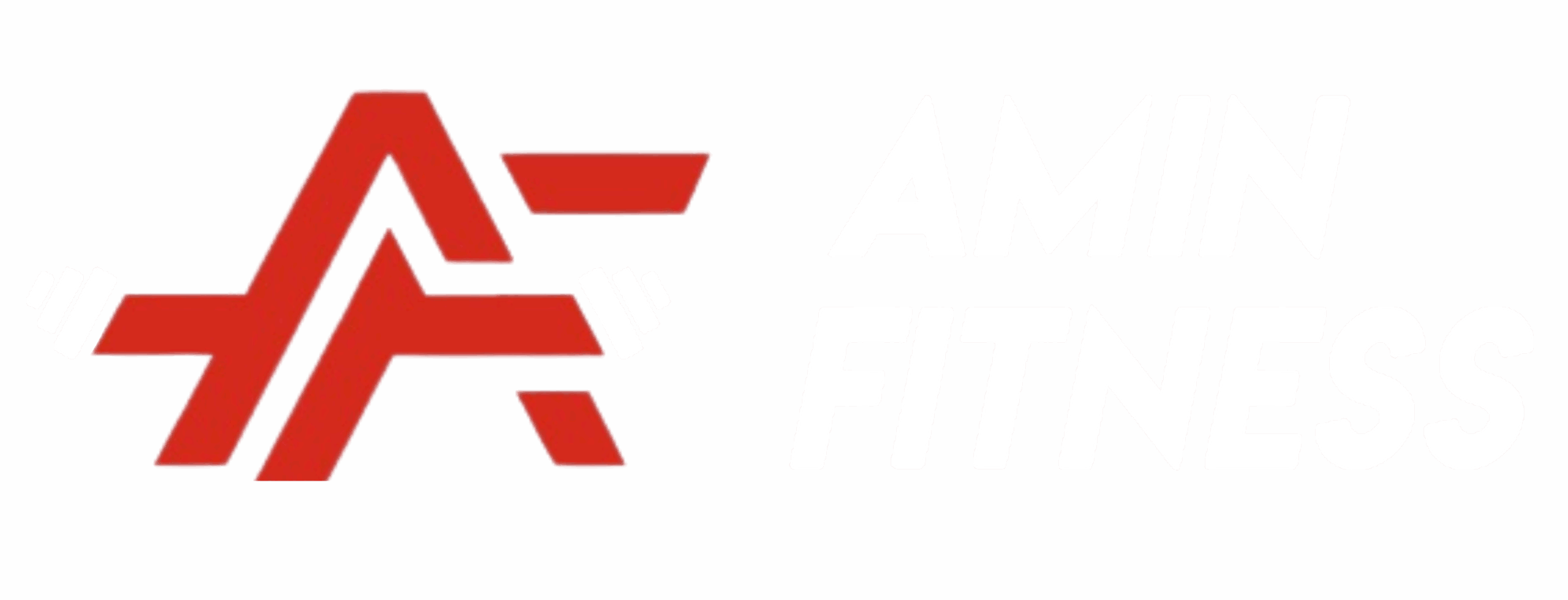 Amin Fitness