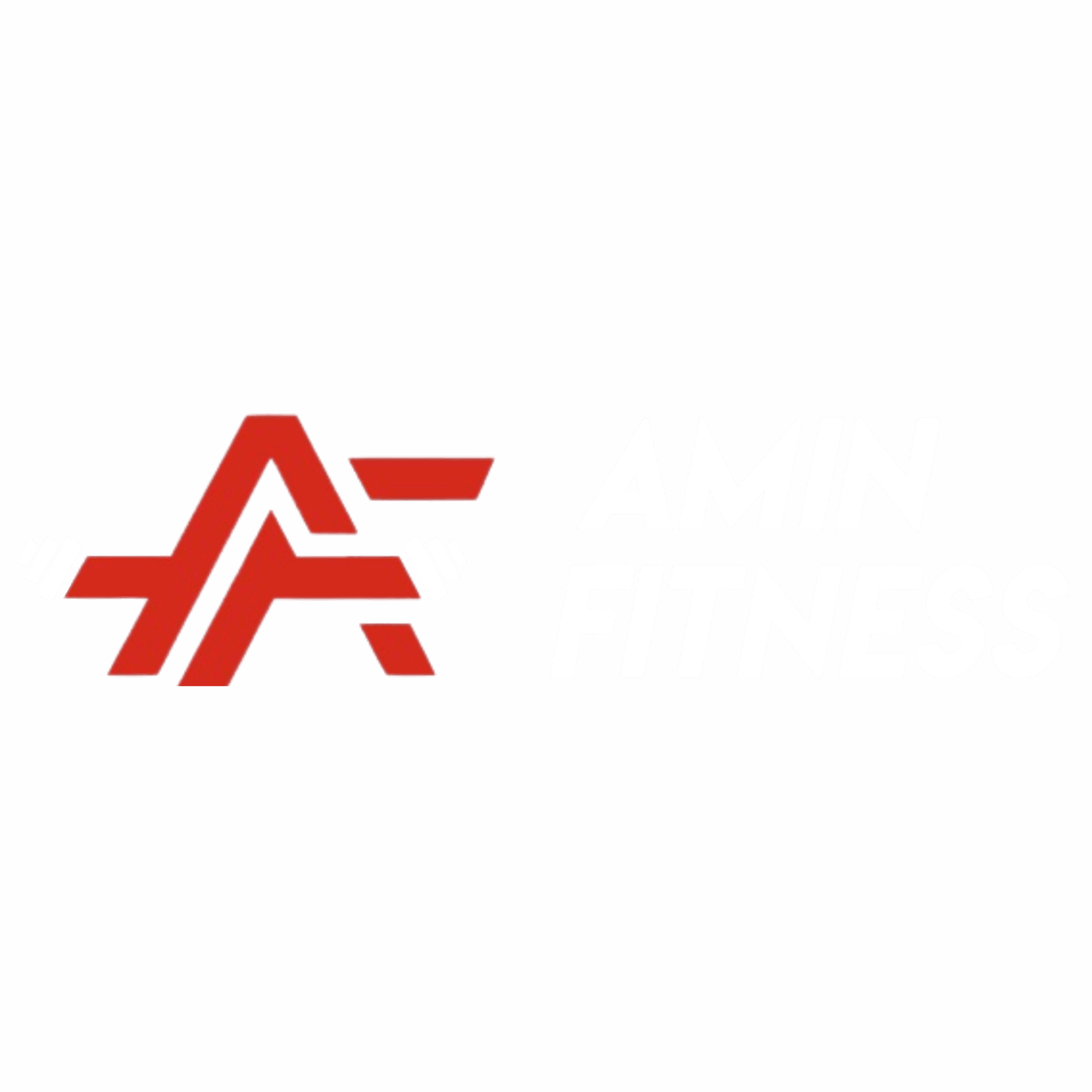 Amin Fitness